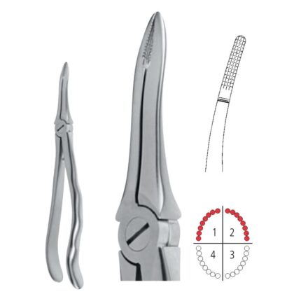 FIG. 49 18 cm very fine